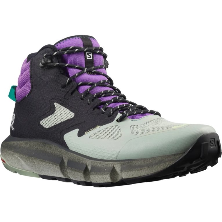 Botas Montaña Salomon Predict Hike Mid GTX Hombre Multicolor | MX SQDB028